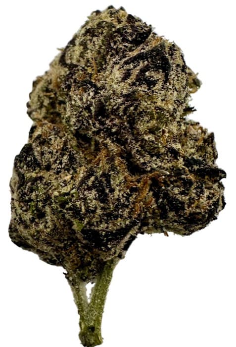 Grape Gelato